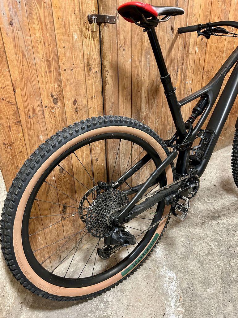 2019 specialized stumpjumper st online