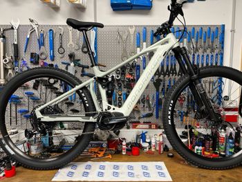 Mondraker, CHASER R 2024