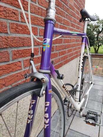 Used Giant Peloton Lite 1990 Road & Gravel, Purple — image 10 of 14