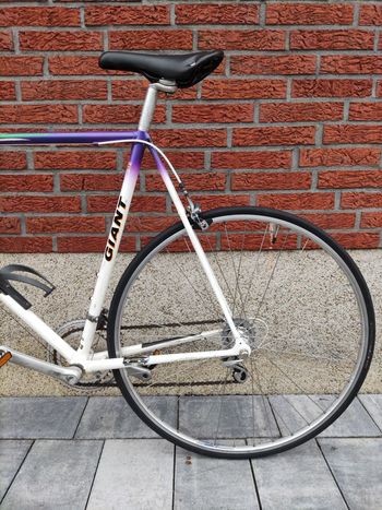 Used Giant Peloton Lite 1990 Road & Gravel, Purple — image 5 of 14