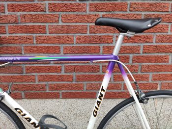 Used Giant Peloton Lite 1990 Road & Gravel, Purple — image 9 of 14