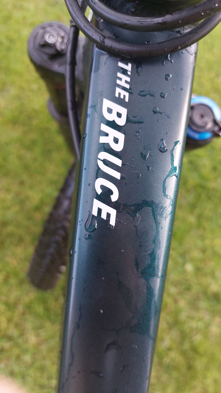 Used Rose THE BRUCE 2 2021 Mountainbike, Green — image 11 of 11