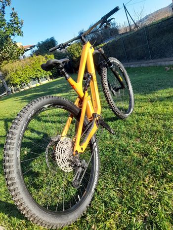 Used Canyon Torque 29 CF 7 2024 2024 Mountainbike, Black, 29 — image 9 of 11