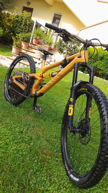 Used Canyon Torque 29 CF 7 2024 2024 Mountainbike, Black, 29 — image 4 of 11