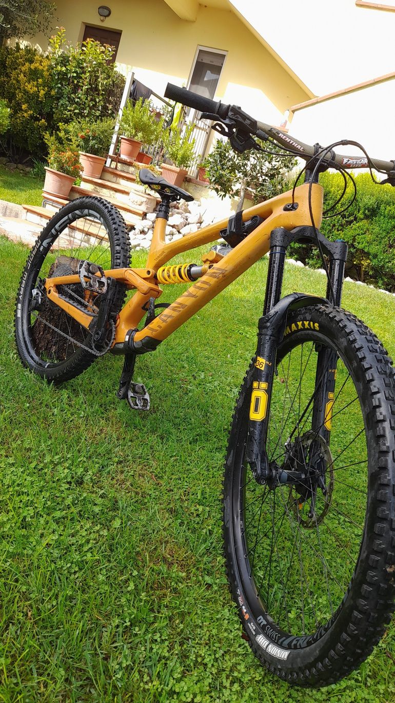 Used Canyon Torque 29 CF 7 2024 2024 Mountainbike, Black, 29 — image 4 of 11
