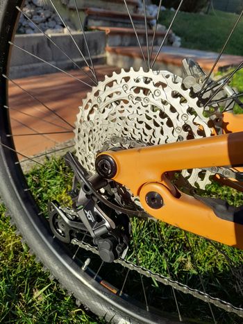 Used Canyon Torque 29 CF 7 2024 2024 Mountainbike, Black, 29 — image 7 of 11