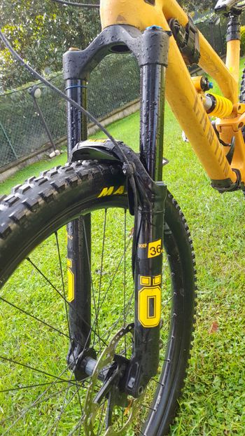 Used Canyon Torque 29 CF 7 2024 2024 Mountainbike, Black, 29 — image 3 of 11