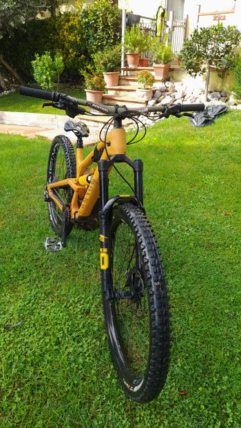 Used Canyon Torque 29 CF 7 2024 2024 Mountainbike, Black, 29 — image 6 of 11