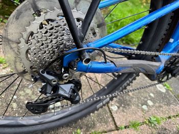 Used Liv EX 2021 Mountainbike, Blau — image 2 of 3