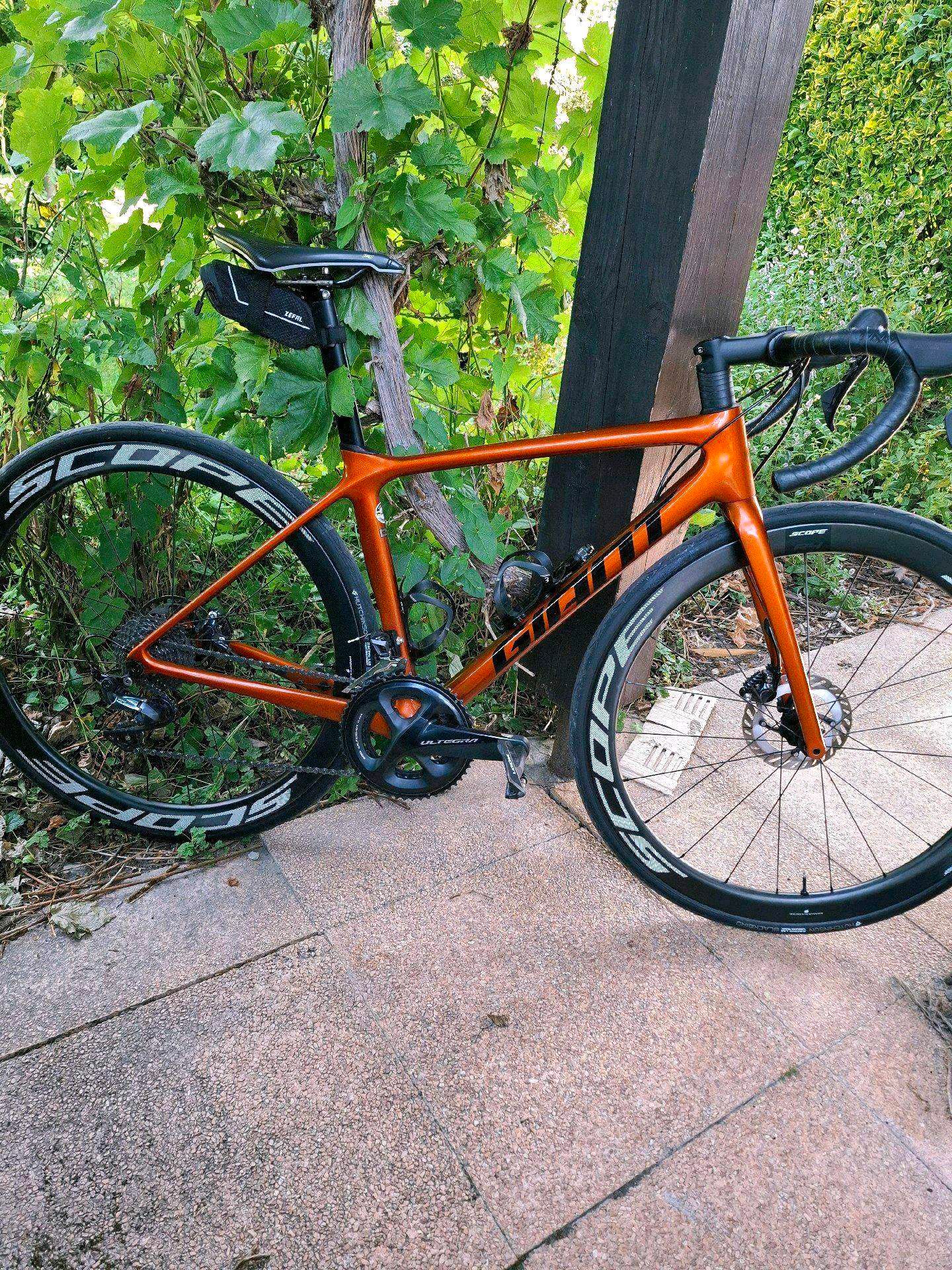 Giant tcr advanced disc 2018 online