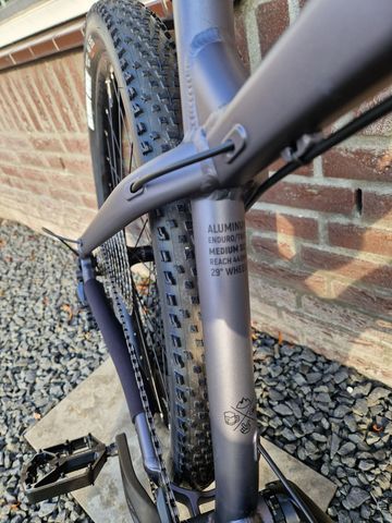 Used Dartmoor 29er 2025 Mountainbike, Light Gray, 29 — image 3 of 9