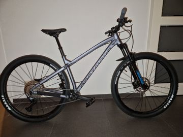 Used Dartmoor 29er 2025 Mountainbike, Light Gray, 29 — image 9 of 9