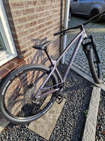 Used Dartmoor 29er 2025 Mountainbike, Light Gray, 29 — image 2 of 9