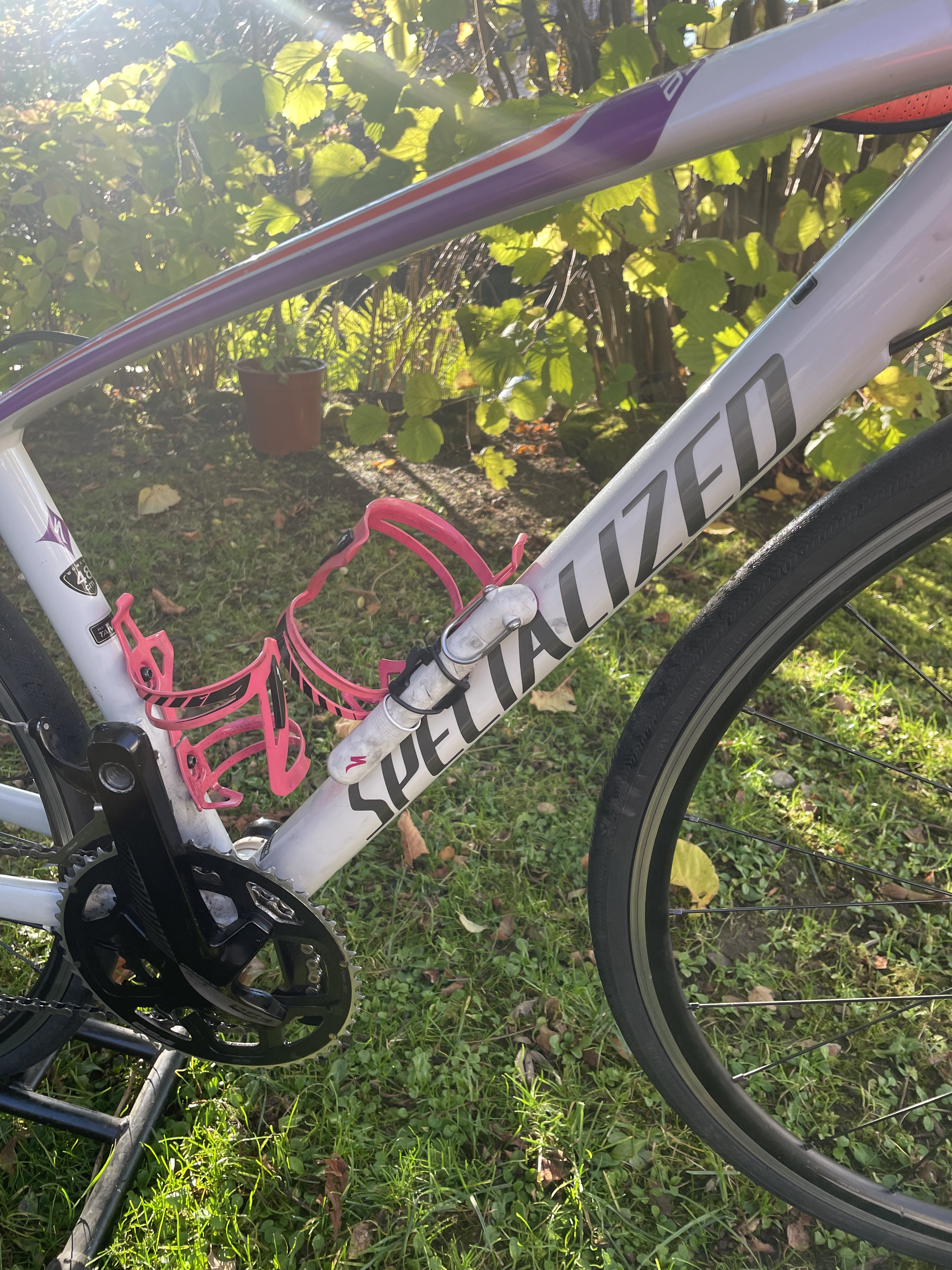 Specialized best sale dolce 48