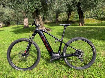 Used Bianchi T-Tronik Sport 9.1 – SX Eagle 2021 2021 MTB
