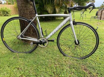 Specialized Specialized Custom | Save on used bikes | buycycle