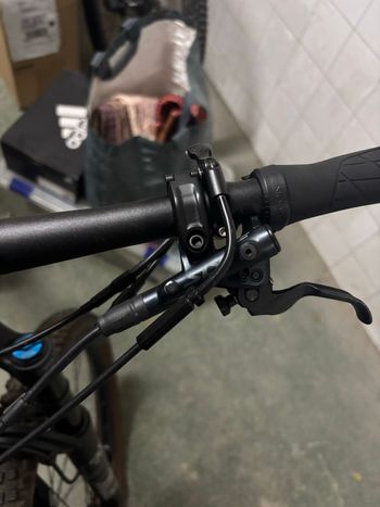 Used Canyon Lux Trail CF 6 2023 2023 Mountainbike, Light Gray, 29 — image 13 of 14
