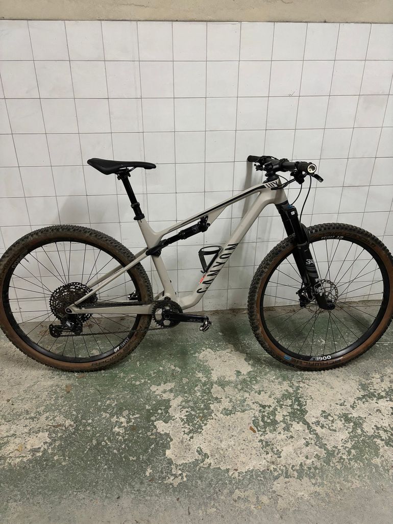 Used Canyon Lux Trail CF 6 2023 2023 Mountainbike, Light Gray, 29 — image 2 of 14