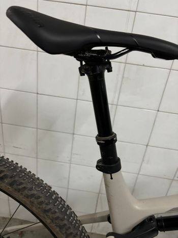 Used Canyon Lux Trail CF 6 2023 2023 Mountainbike, Light Gray, 29 — image 7 of 14