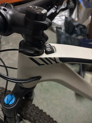 Used Canyon Lux Trail CF 6 2023 2023 Mountainbike, Light Gray, 29 — image 8 of 14