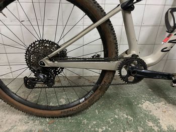Used Canyon Lux Trail CF 6 2023 2023 Mountainbike, Light Gray, 29 — image 4 of 14