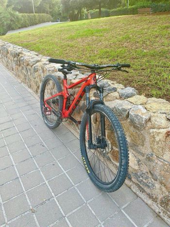 Used Scott Spark 960 2021 2021 Mountainbike, Rot, 29 — image 2 of 5