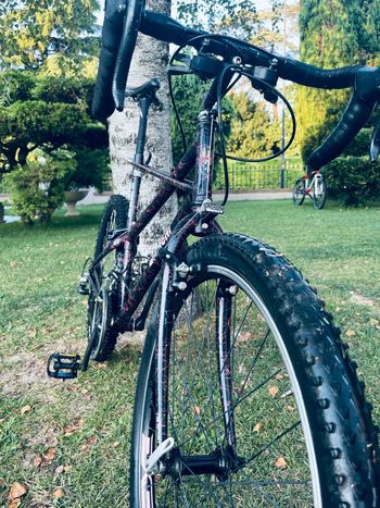 Used Bianchi thomisus 1992 Road & Gravel, Black — image 3 of 6