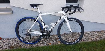 Used Colnago C64 Corsa Pro Bike 2019 2019 Road & Gravel