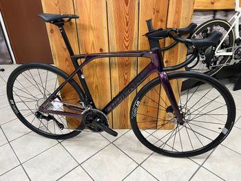 Used Lapierre Xelius SL 5.0 Di2 2024 2024 Road & Gravel — image 1 of 12