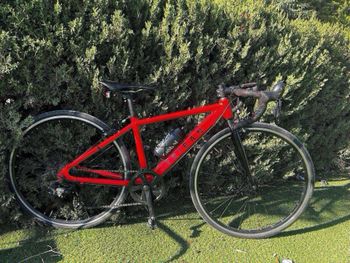 Cannondale touring apex 1 se online