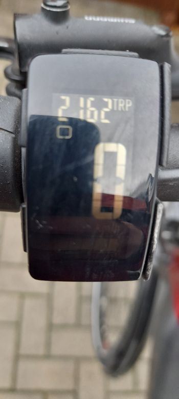 Used BULLS Lacuba Evo 8 2019 Mountainbike, Hellgrau — image 3 of 3