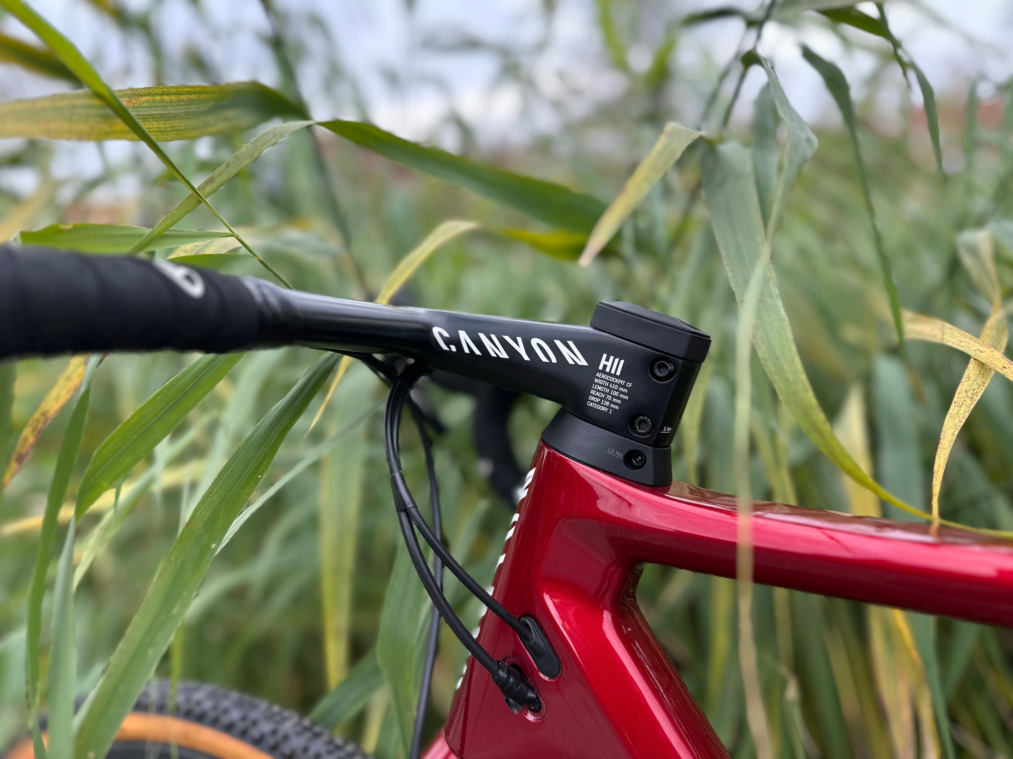 Custom canyon bike online