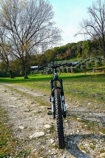 Used Banshee Spitfire 2023 Mountainbike, Green — image 9 of 14
