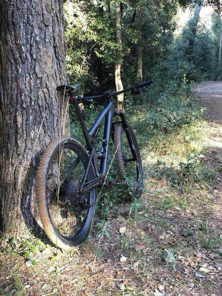 Used Specialized S-Works Epic 2021 2021 Mountainbike, Green, 29 — image 3 of 3