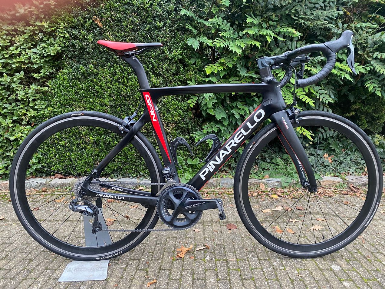 Pinarello GAN