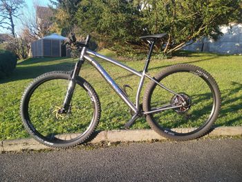 Gebrauchtes Litespeed Pinhoti III custom made XT 29 2025 Mountainbike, Hellgrau, 29 — Bild 2 von 9