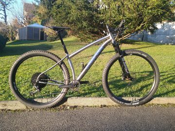 Used Litespeed Pinhoti III custom made XT 29 2025 Mountainbike, Light Gray, 29 — image 1 of 9