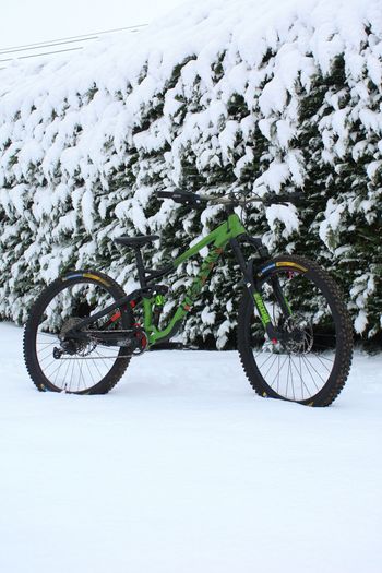 Used Marin Alpine Trail 7 2022 2022 Mountainbike, Green, 29 — image 5 of 5