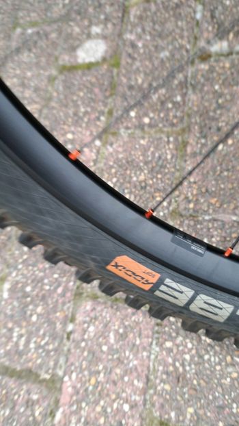Used Commencal T.E.M.P.O. RIDE 2022 2022 Mountainbike, Orange, 29 — image 5 of 6