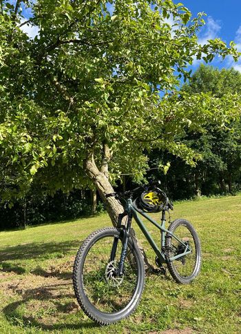 Used Commencal META HT AM ESSENTIAL 2022 2022 Mountainbike, Green, 29, 27.5 — image 13 of 13
