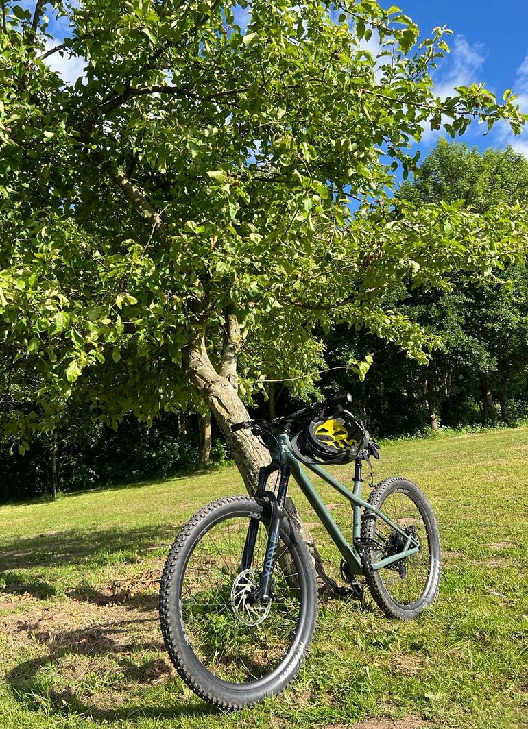 Used Commencal META HT AM ESSENTIAL 2022 2022 Mountainbike, Green, 29, 27.5 — image 13 of 13