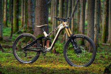 Used Giant Glory Advanced 2024 2024 Mountainbike, Light Gray, 29, 27.5 — image 2 of 6