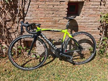 Gebrauchtes Pinarello RAZHA 2016 2016 Road & Gravel