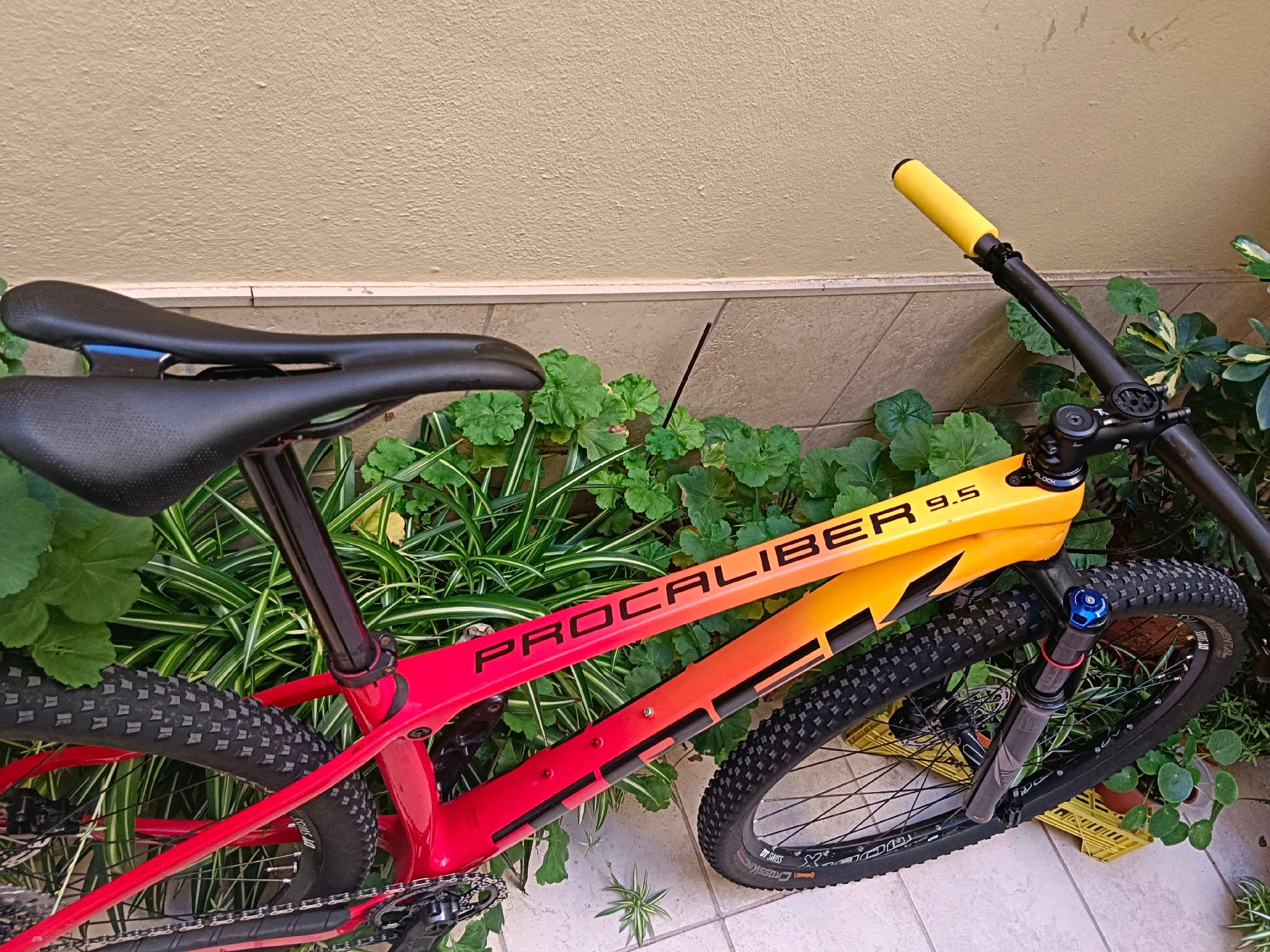 Trek procaliber 9.5 2021 test sale