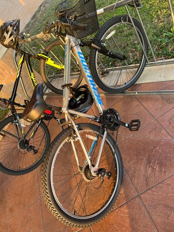 Used Schwinn High Timber 27.5 2024 Mountainbike, Light Gray — image 2 of 3