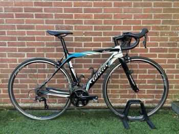 Wilier wilier - luna | Save on used bikes | buycycle