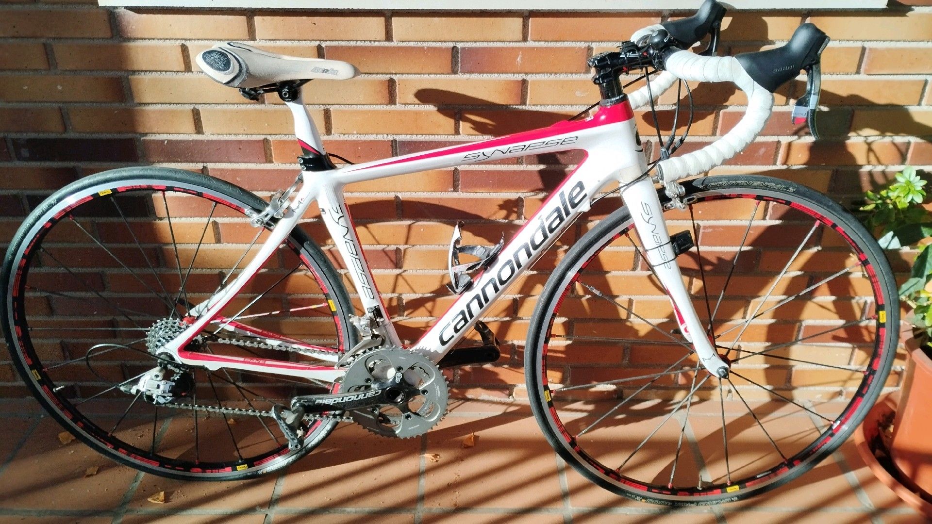 Cannondale synapse hi mod di2 online