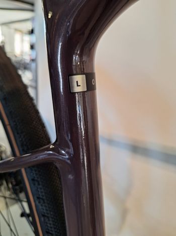 Gebrauchtes Giant Revolt Advanced 0 2023 2023 Road & Gravel, Violett — Bild 7 von 13