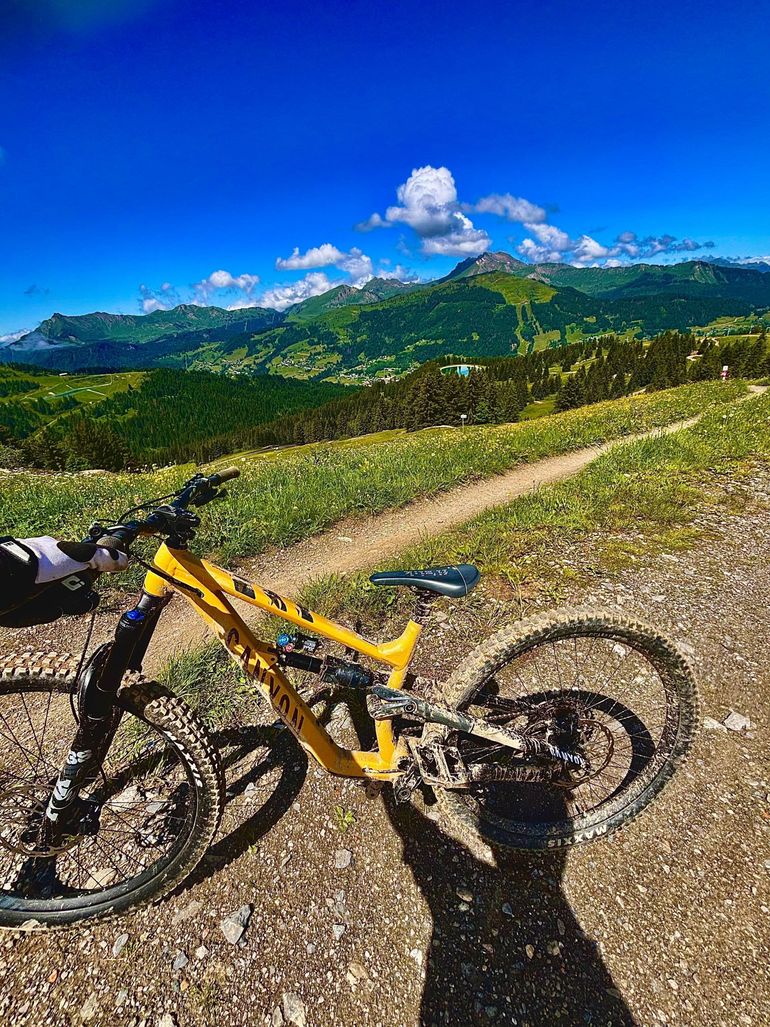 Used Canyon Torque 29 AL 6 2022 2022 Mountainbike — image 1 of 11