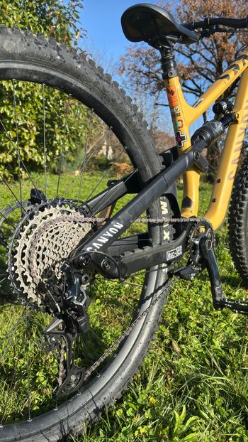 Used Canyon Torque 29 AL 6 2022 2022 Mountainbike — image 4 of 11
